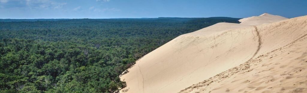 Photographie représentative des paysages des Landes solaire france